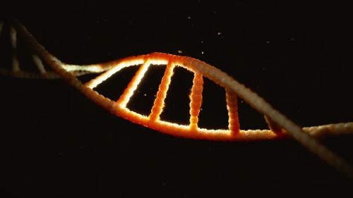 DNA Helix preview image